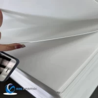 Customized PVC HDPE PA6 PP Plastic Sheet for Building Materia