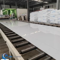 Customized PVC HDPE PA6 PP Plastic Sheet for Building Materia