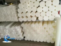 100% Virgin Nylon Round Bar with Good Electrical