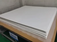 Virgin Soft Expanded PTFE Sheet Eptfe Sheet for Gasket or Sealing