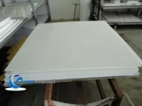 100% Virgin Plastic Teflon PTFE Plate Sheet with Good Chemical Resistance