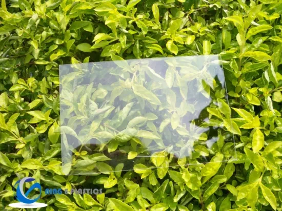 Polycarbonate Panels Clear Polycarbonate Sheet for Green House