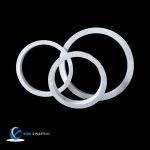 Expanded PTFE Ring Gasket Seals